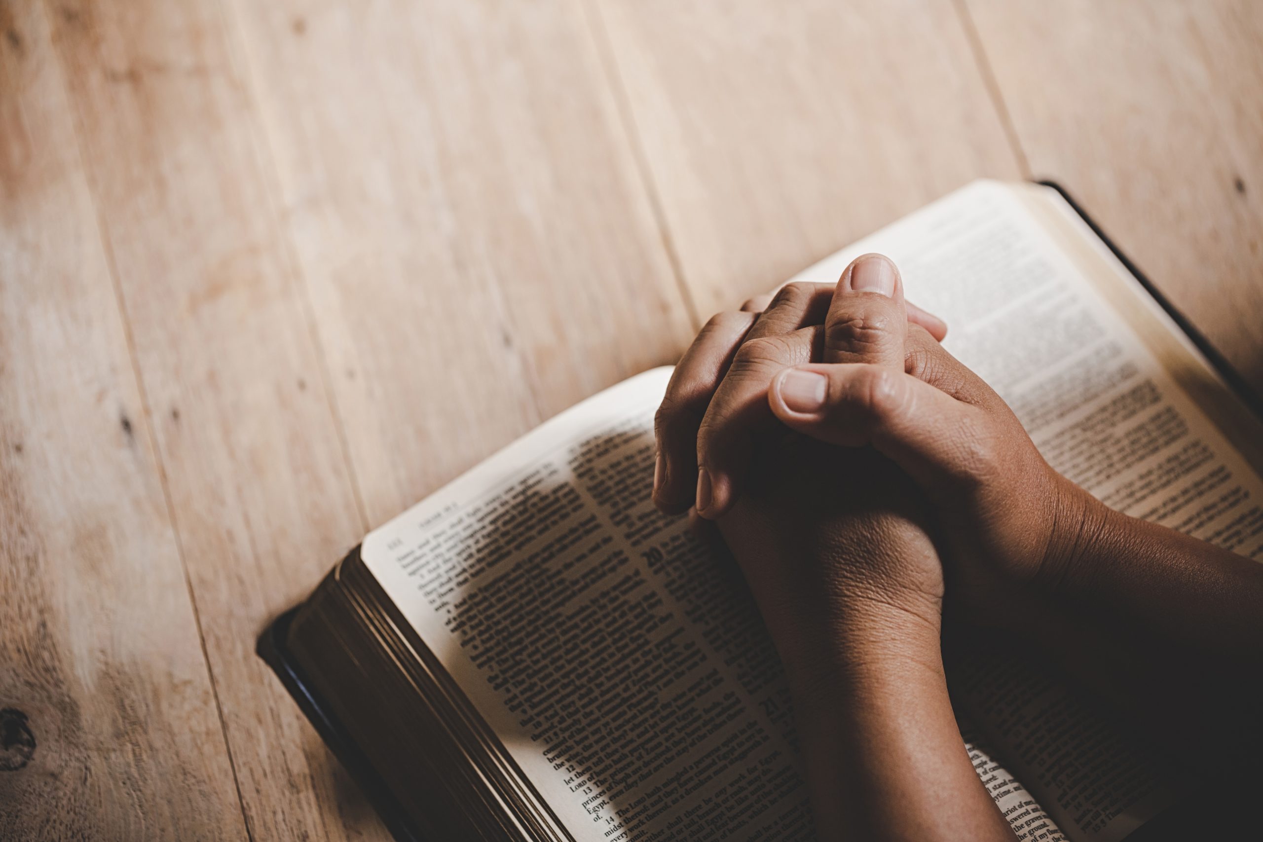 Bible - Main en prière